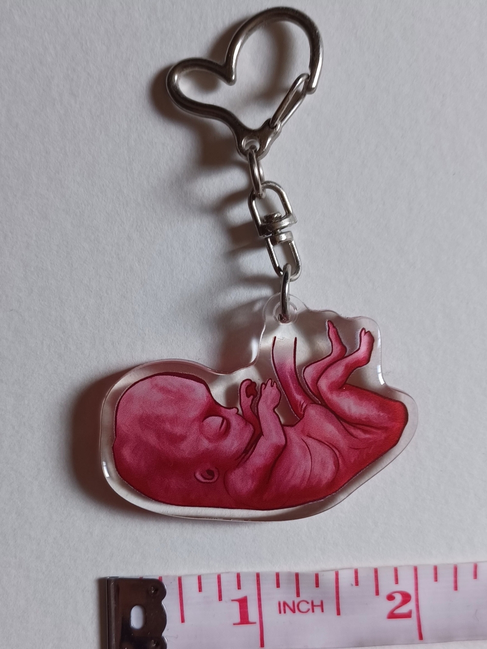 Double-sided Acrylic Fetus Keychain With Heart Clasp - Picture 3 of 5